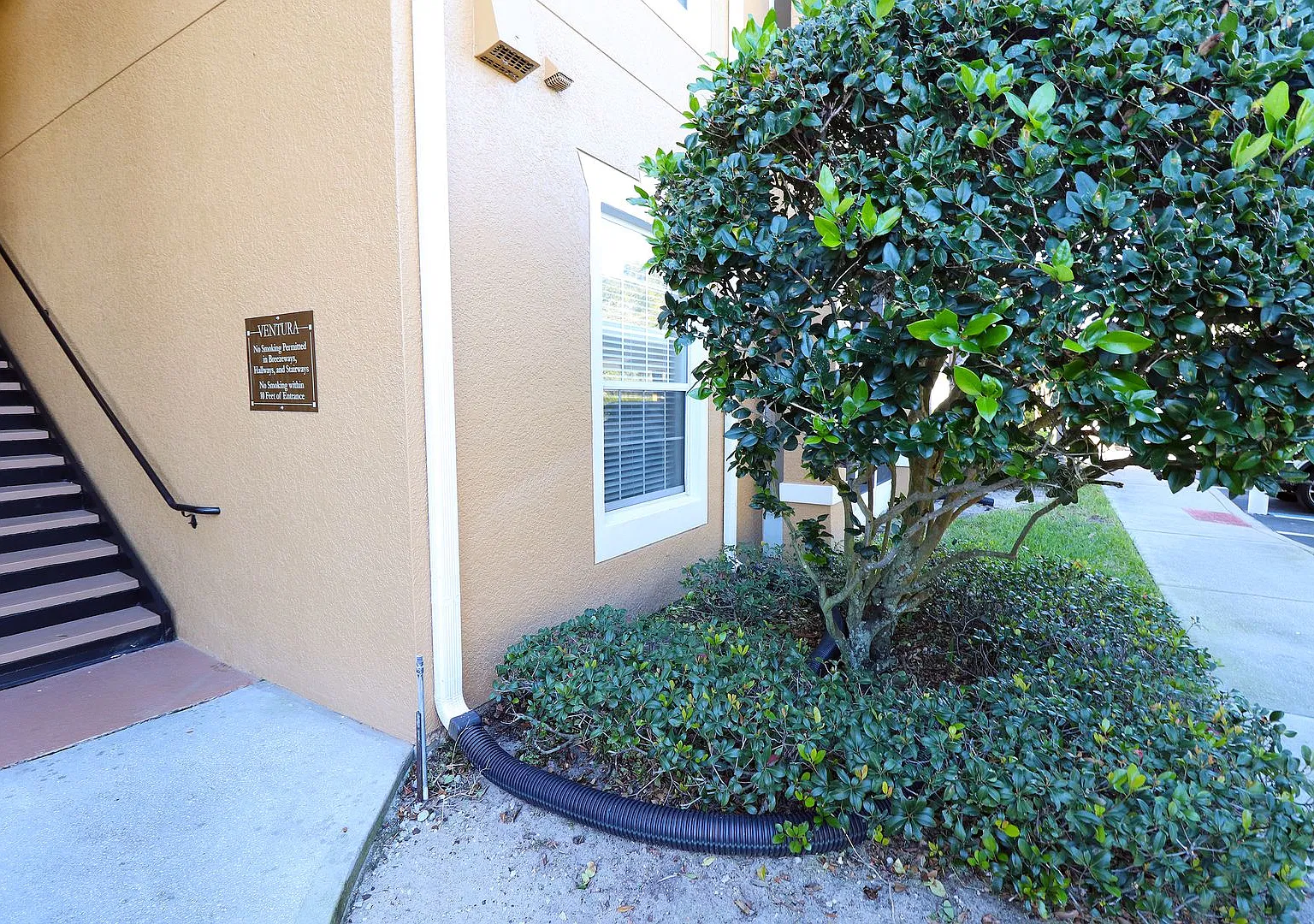 6402 Cava Alta Dr — Photo 3