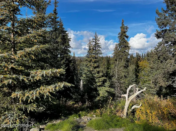 Nka Jolly Ave, Homer, AK 99603