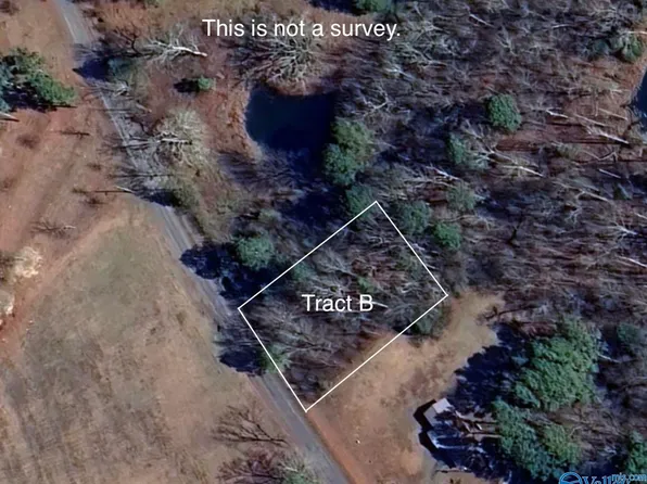 TRACT Hammonds Rd #B, Fyffe, AL 35971