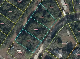24 NE 157th Ave, Williston, FL 32696
