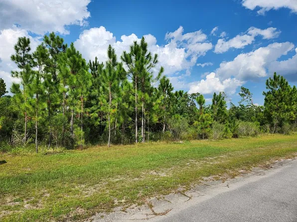 LOT 136 Torrey Pine Trl, Wewahitchka, FL 32465