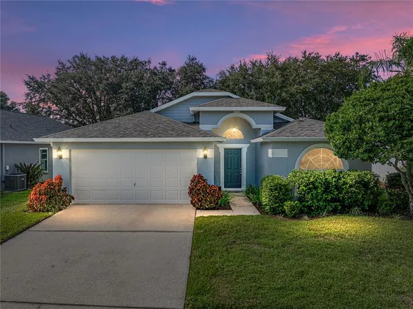22828 Richardson Ln, Land O Lakes, FL 34639