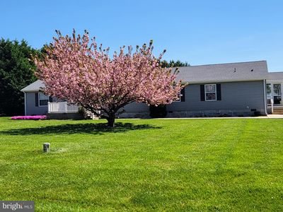 6567 Cabin Ridge Rd, Hurlock, MD, 21643