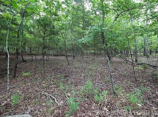 411 Cornett Branch Rd, Four Seasons, MO 65049