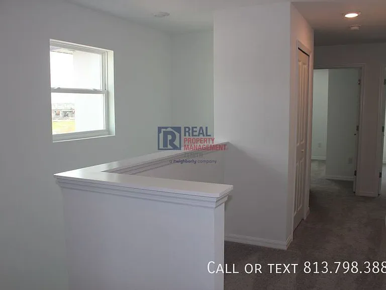32146 Powderpuff Mimosa Dr — Photo 18