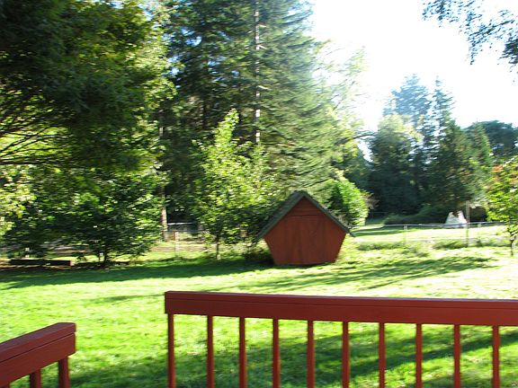 back yard (fenced)