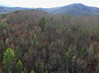 Balls Hollow Rd E, Cosby, TN 37722