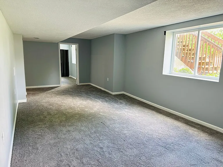 Basement Living Room