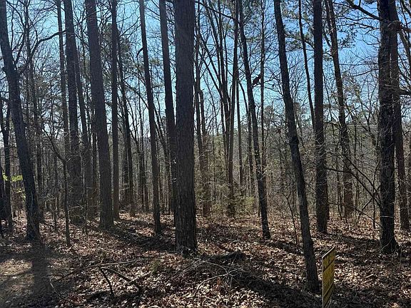 4th image of 0 Oyler Rd