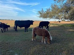 2111 Gooden Pl, Groveland, FL 34736