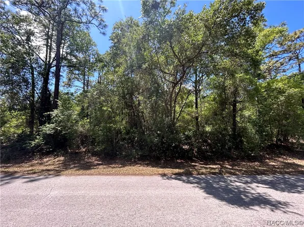 9256 N China Pink Way, Crystal River, FL 34428