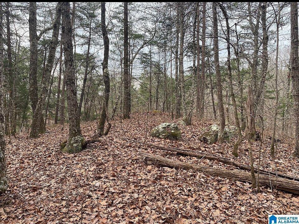1st image of 0 Highway 28 #0