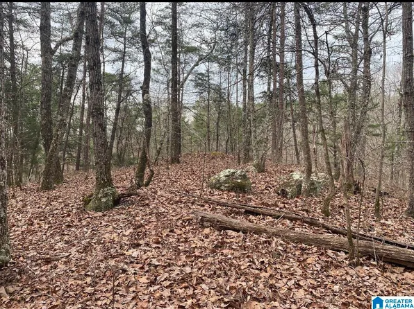 0 Highway 28 #0, Columbiana, AL 35051