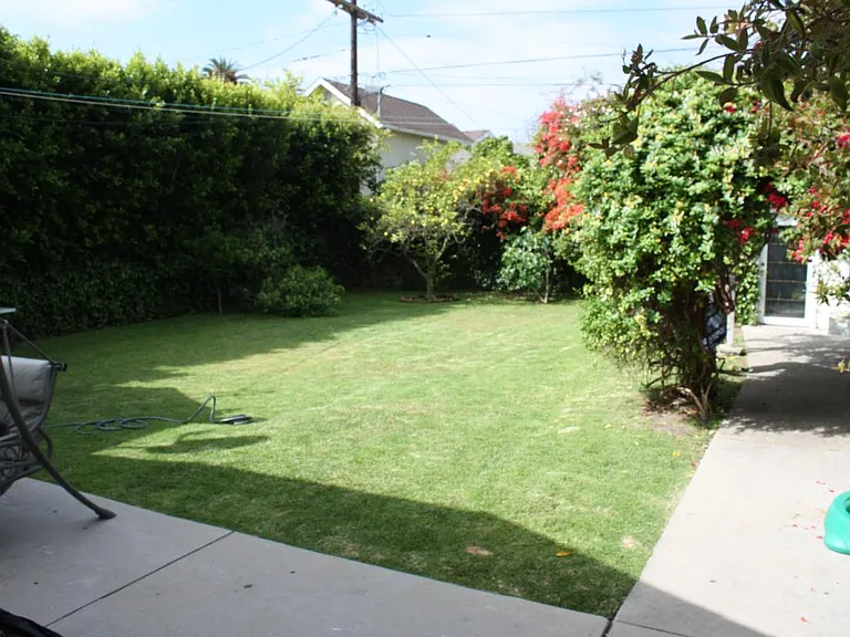 Back yard