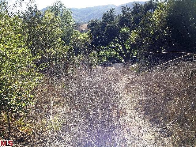 2nd image of 0 Old Topanga Road
