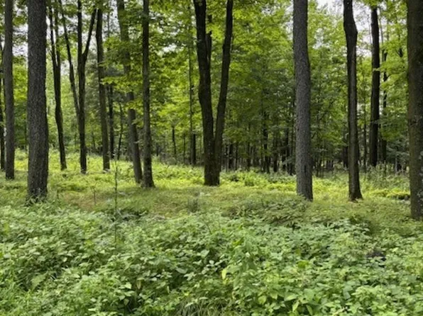80 Acres North BRANCH ROAD, Wittenberg, WI 54499