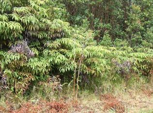 Lehua St LOT 7106, Mountain View, HI 96771
