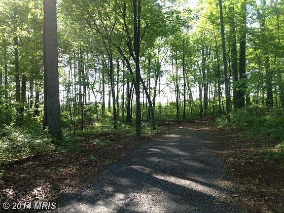 looking south on the driveway