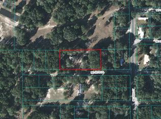 3001 NE 167th Pl, Citra, FL 32113