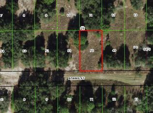 2412 Adams St, Inverness, FL 34453