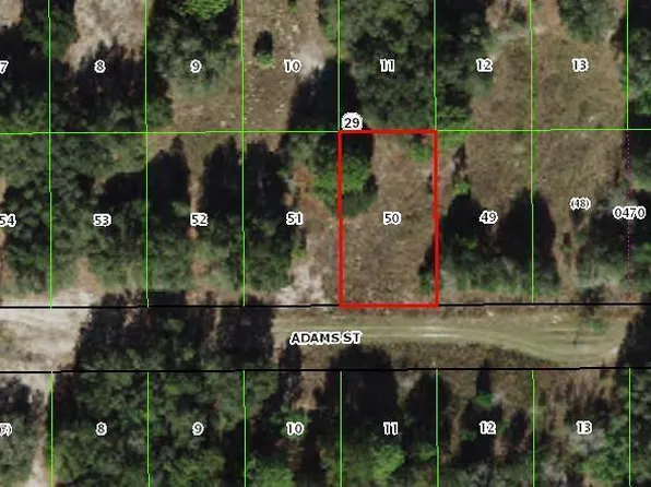 2412 Adams St, Inverness, FL 34453