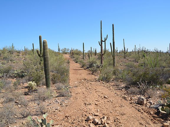 3rd image of 0 N Broken Springs Trl