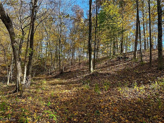 2nd image of 0 Clark Rd