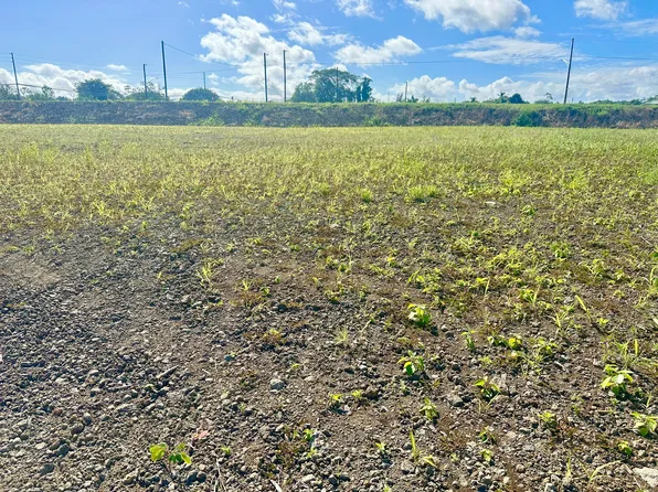 5146 Olali Pl Lot 11, Hilo, HI 96720