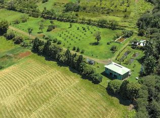 29-2612 Kaiwiki Homestead Rd, Hakalau, HI 96710