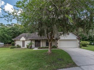 3703 Kingsford Pl, Valrico, FL 33596