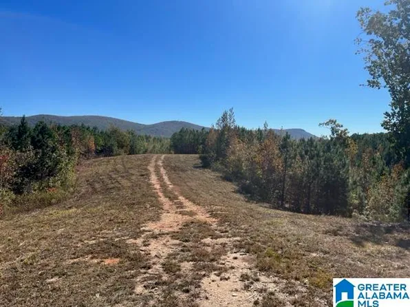 7157 Rendalia Mtwy, Talladega, AL 35160