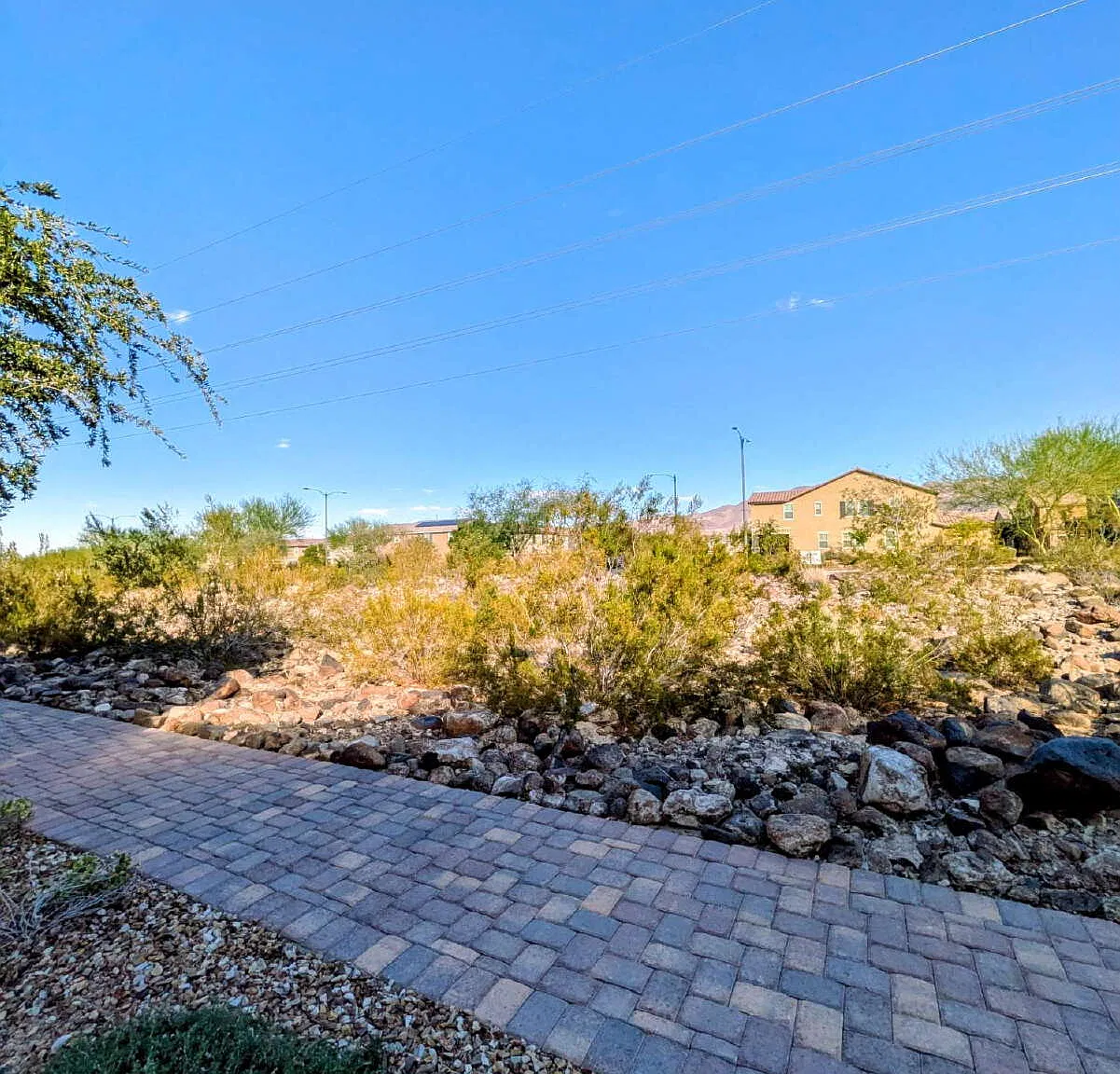 3 bed, 2.5 bath, 1842 sqft, $2,263 — Photo 3