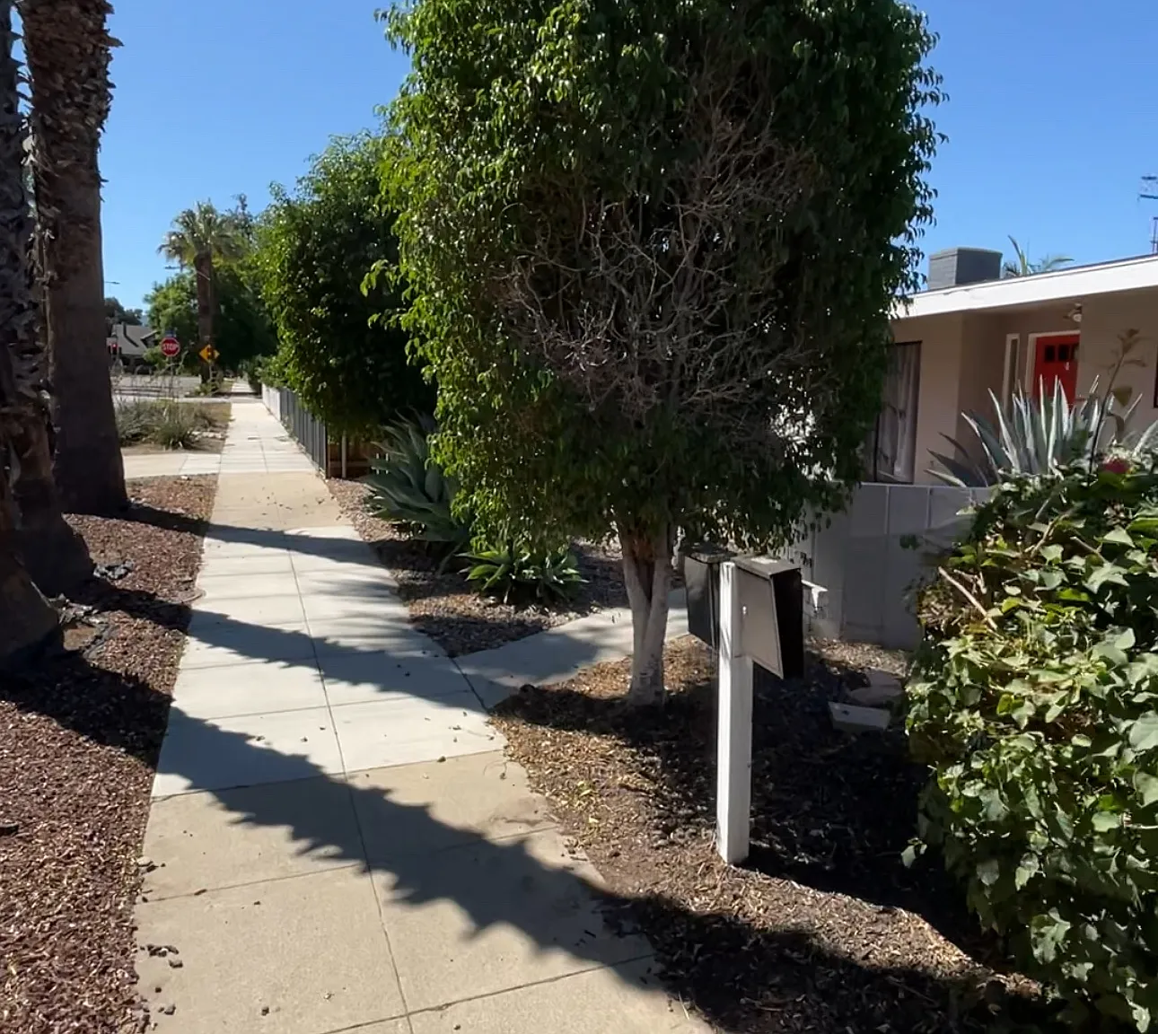 2 bed, 900 sqft, $2,950 — Photo 1