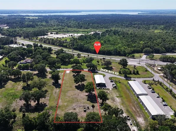 980 DUCK BOX ROAD, UMATILLA, FL 32784