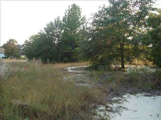 1st image of lot 448 N Onyx Lane