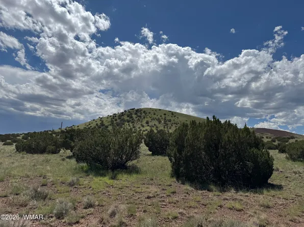 119 County Road 5106, Concho, AZ 85924