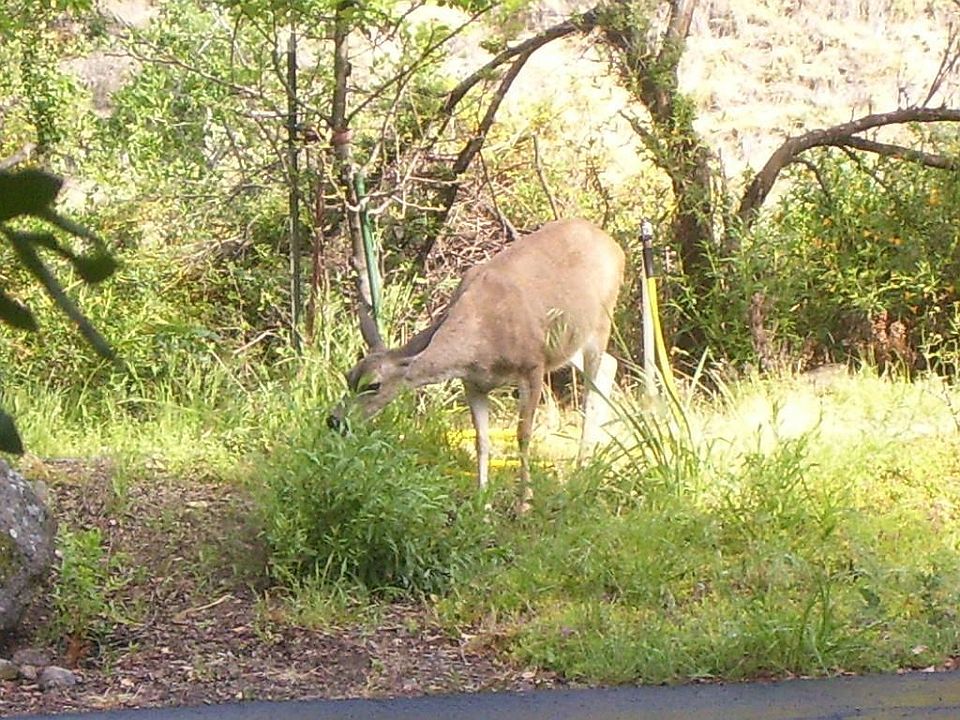2nd image of 4 Spring Ln