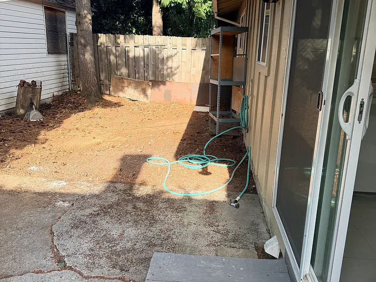 back yard
