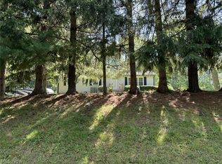 11092 Vaughn Rd, Hiram, OH 44234