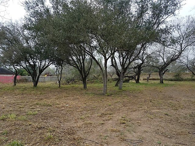 2nd image of 3018 Floresta St