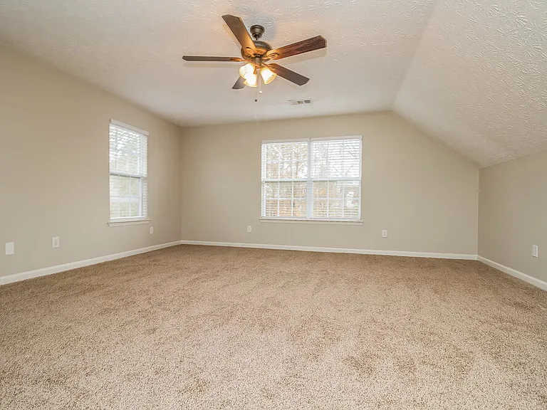 209 Chandlers Pass Ct — Photo 9
