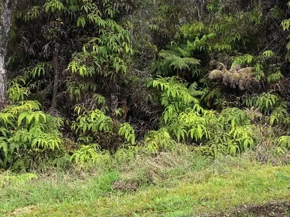 Pa Alii St Lot 1762, Volcano, HI 96785