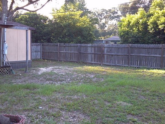 Back yard