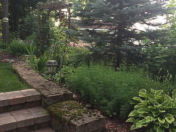 Multiple stone gardens 