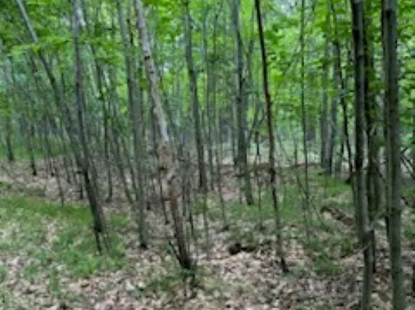 Lincoln St, Niagara, WI 54151