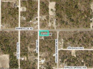 0 Barnevelde Rd, Weeki Wachee, FL 34614