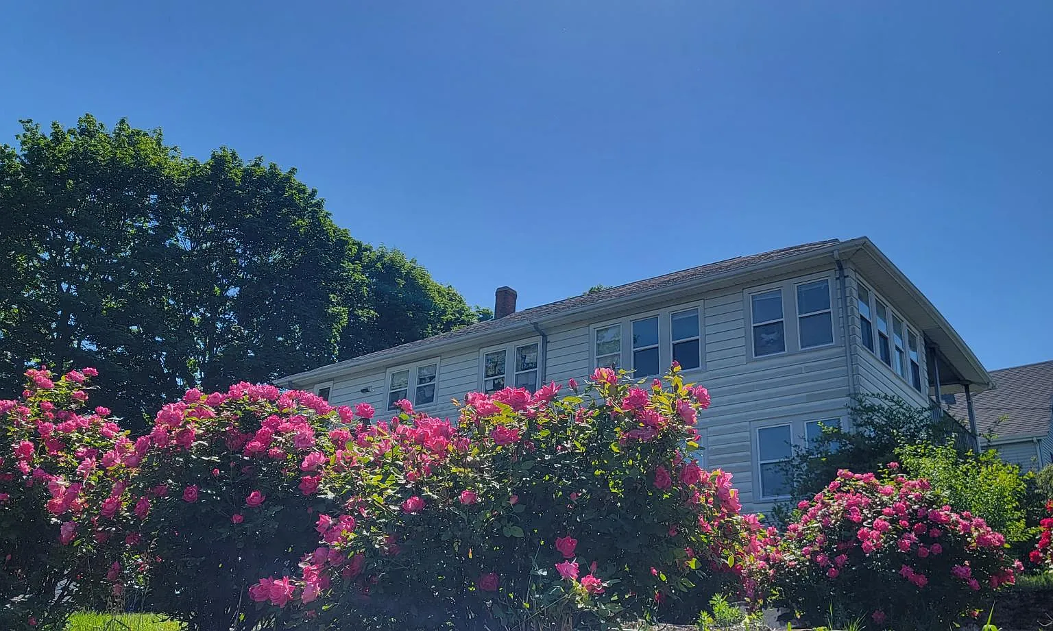 3 bed, 1400 sqft, $3,680 — Photo 1