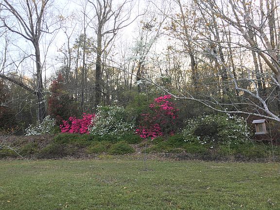 Private yard backs up to wooded lot