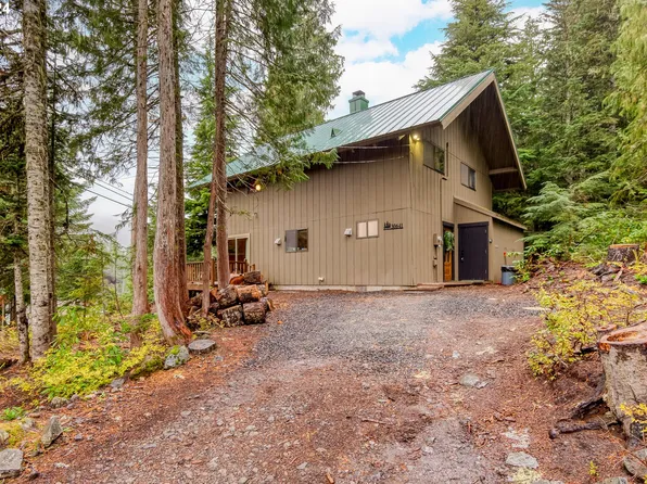 30641 E Darr Rd, Government Camp, OR 97028
