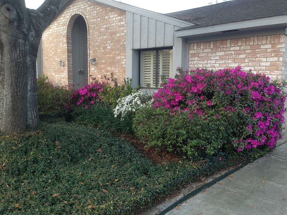 1st image of 7523 Brush Wood Dr